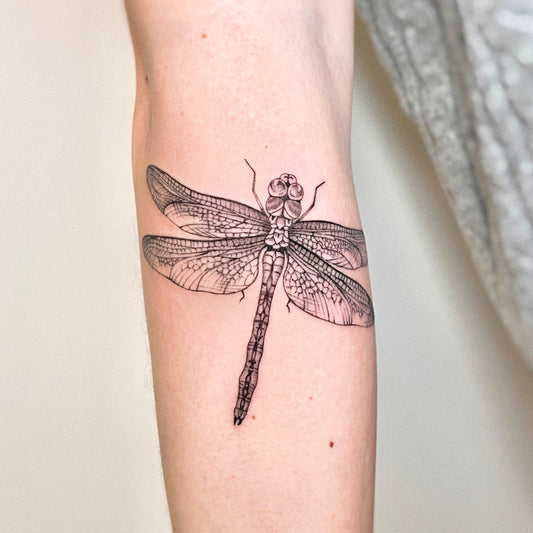 Dragonfly line tattoo