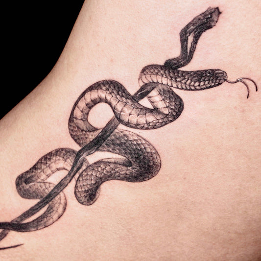 Snake Subjects for realism tattoos